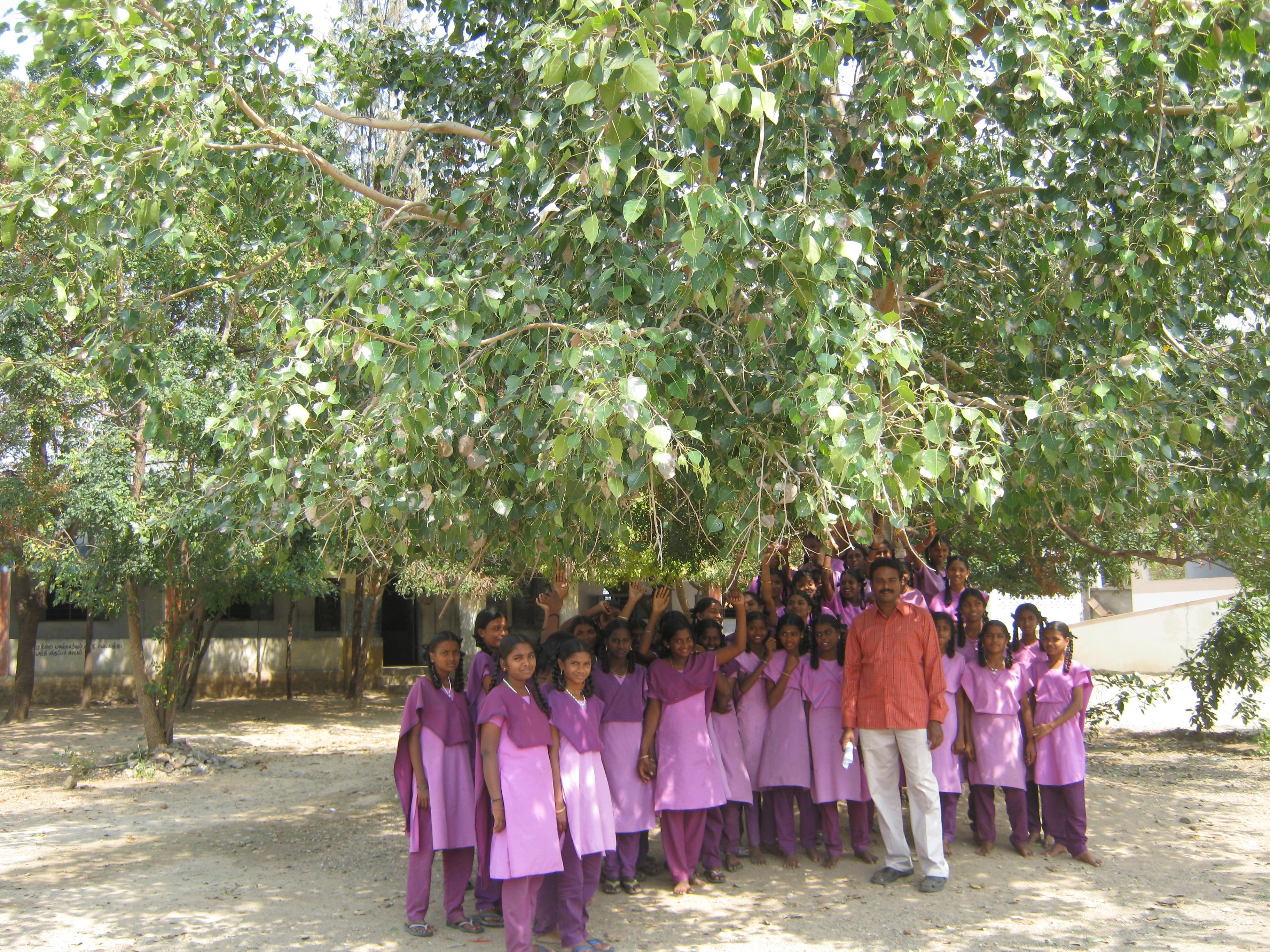 43rd programme of the GNF - Importance of Trees Awareness programme